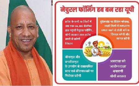 नेचुरल फॉर्मिंग हब बन रहा यूपी: प्रदेश के सभी 75 जिलों में अब तक 94,300 हेक्टेयर तक पहुंची नेचुरल फॉर्मिंग, योगी सरकार 298 करोड़ रुपये से करेगी विस्तार। 