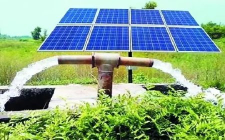 प्रदेश में पीएम-कुसुम सी2 से ऊर्जा सुधार को नई गति, 1708 मेगावाट क्षमता के लिए 581 पीपीए