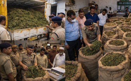 Hardoi : हरदोई में आयुर्वेदिक कंपनी पर छापेमारी, निर्धारित सीमा से कई गुना अधिक भांग जब्त