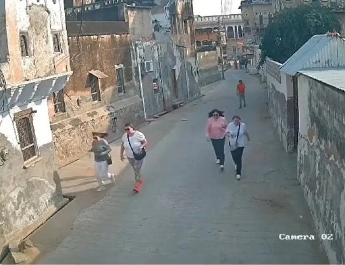 मंडावा हवेली में जर्मन पर्यटकों पर मधुमक्खियों का अचानक हमला: अफरा-तफरी मची, कई घायल।