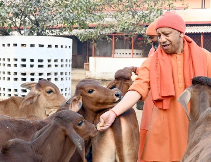 गोसंरक्षण स्पेशल स्टोरी: योगी सरकार का कीर्तिमान, पहली बार गो संरक्षण के लिए खर्च होंगे 2100 करोड़। 