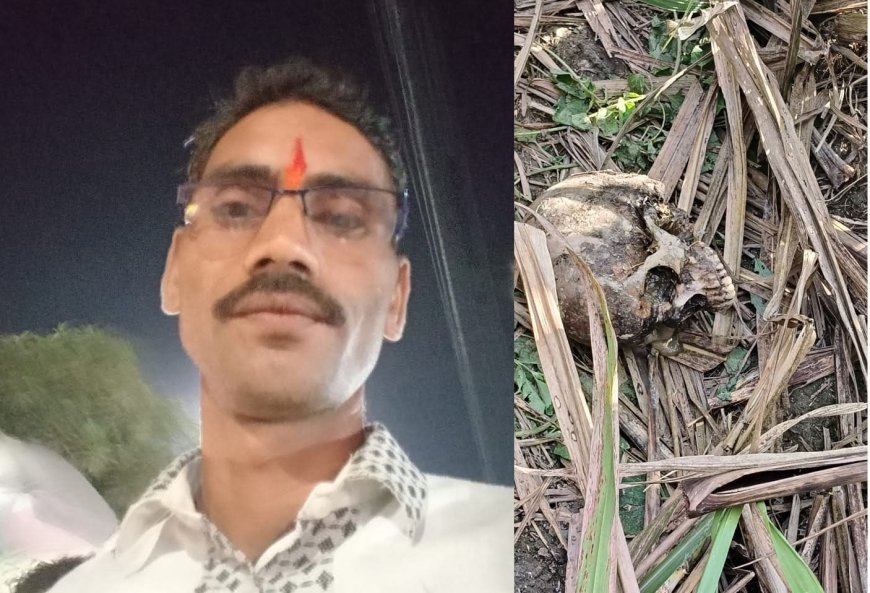 Sitapur : मिश्रिख में गन्ने के खेत में युवक का कंकाल मिला, भाई ने कपड़ों से की पहचान