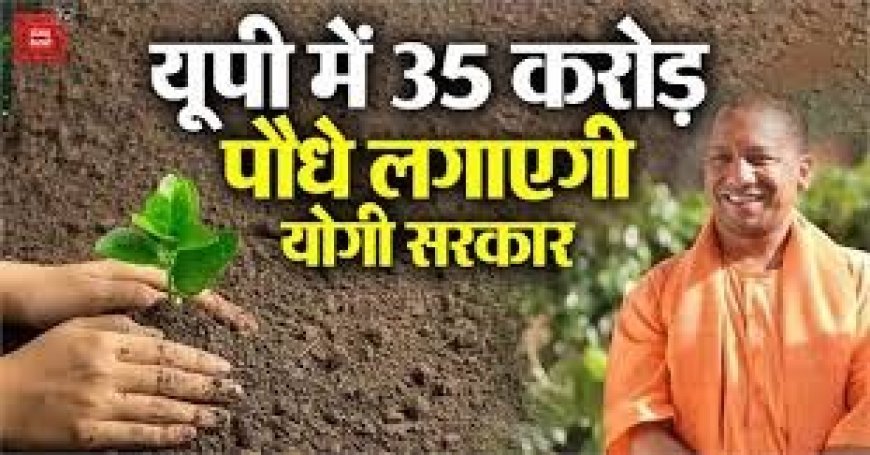 Lucknow : योगी सरकार-2026 में पूरे प्रदेश में लगाएगी 35 करोड़ पौधे, उत्तर प्रदेश क्लीन एयर मैनेजमेंट प्रोजेक्ट के लिए 194 करोड़ की व्यवस्था 