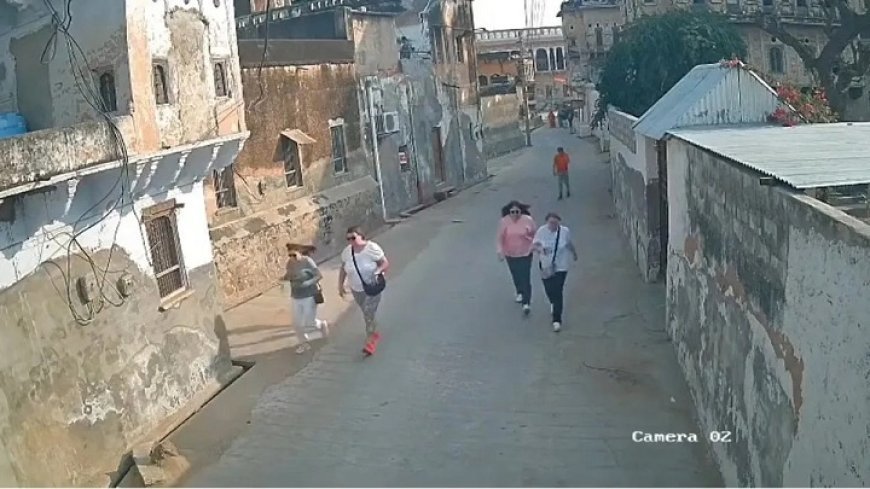 मंडावा हवेली में जर्मन पर्यटकों पर मधुमक्खियों का अचानक हमला: अफरा-तफरी मची, कई घायल।