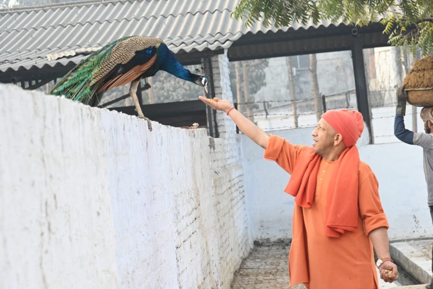 Gorakhpur : आनुष्ठानिक व्यस्तता में भी मुख्यमंत्री ने जारी रखा जनसेवा अनुष्ठान