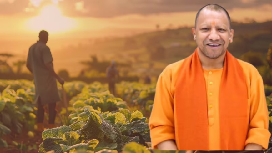 Gorakhpur : सोना उगाने वाले किसानों को समृद्ध कर रही योगी सरकार, अन्नदाताओं की आर्थिक-सामाजिक सुरक्षा के लिए ‘कम लागत-अधिक उत्पादन’ पर जोर दे रही योगी सरकार 