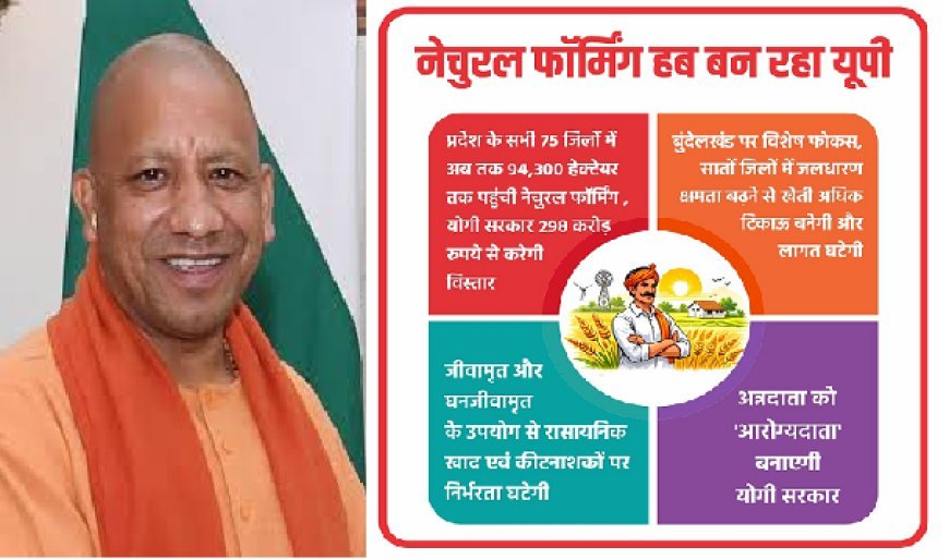 नेचुरल फॉर्मिंग हब बन रहा यूपी: प्रदेश के सभी 75 जिलों में अब तक 94,300 हेक्टेयर तक पहुंची नेचुरल फॉर्मिंग, योगी सरकार 298 करोड़ रुपये से करेगी विस्तार। 