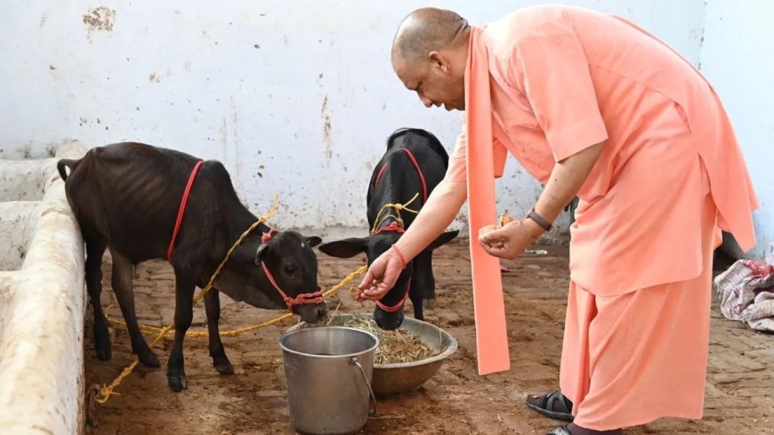 Lucknow : गोधन समागम 2026- 63 को गोकुल व 49 को आज मिलेगा नंद बाबा पुरस्कार 