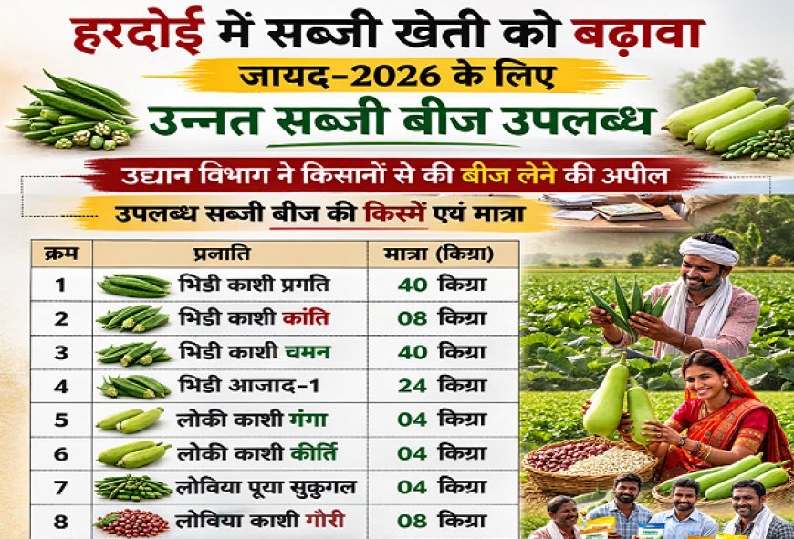 Hardoi: हरदोई में सब्जी खेती को बढ़ावा- 'जायद-2026' के लिए सब्जी बीज उपलब्ध, किसानों को नगद मूल्य पर मिलेगा लाभ। 