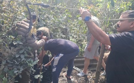 Bajpur: अवैध शराब पर पुलिस की पैनी नजर: इट्टवा में 4 भट्टियाँ तोड़कर 10,000 लीटर लहन नष्ट किया। 