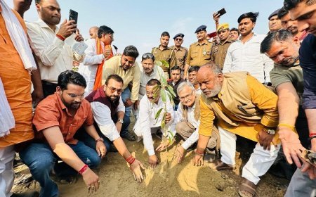 काशी ने रचा इतिहास! सीएम योगी के नेतृत्व में 1 घंटे में 2,51,446 पौधे रोपकर तोड़ा चीन का 8 साल पुराना गिनीज रिकॉर्ड।