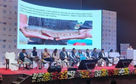 मुख्यमंत्री की प्रेरणा से मीन महोत्सव 2026 का शानदार आयोजन, अब मीन महाकुंभ की तैयारी।