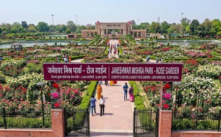 देश का दूसरा सबसे बड़ा रोज गार्डेन लखनऊ में शुरू: 2,269 प्रजातियों के 10,509 गुलाबों से सजा जनेश्वर मिश्र पार्क  ।