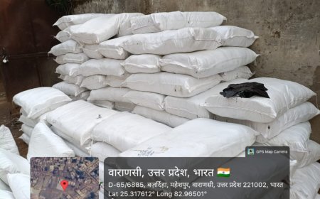 Varanasi : नगर निगम ने 2200 किलो प्रतिबंधित प्लास्टिक जब्त किया, ट्रांसपोर्टर-ड्राइवर विवाद से खुलासा