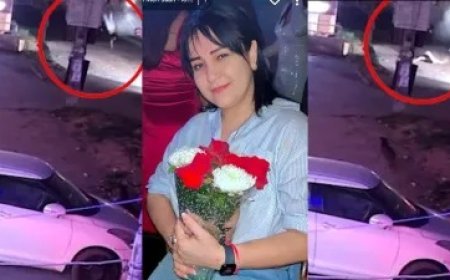 मोहाली के जीरकपुर में स्पीडिंग ऑडी ने तुर्की की युवती को कुचला, मौके पर मौत।