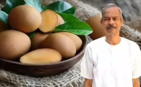 नौकरी छोड़ गांव लौटे, चीकू पर प्रयोग कर बन गए करोड़पति, महिलाओं को रोजगार देकर गांव में क्रांति लाई।