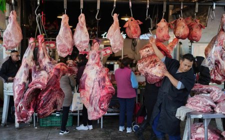 Deoband : देवबंद में मीट दुकानों पर संयुक्त जांच अभियान, बिना लाइसेंस वाली एक दुकान पर चालान