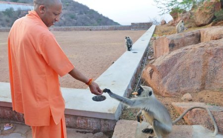 Lucknow : ... और पूरी हो गई स्कूली बच्चे की इच्छा, सेल्फी लेने की कोशिश कर रहे बच्चे को मुख्यमंत्री योगी आदित्यनाथ ने मंच पर बुलाया 