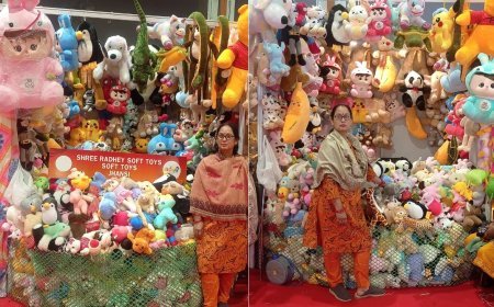 Lucknow : सरकारी प्रशिक्षण और सहयोग से बदली जिंदगी, सॉफ्ट टॉयज से पहचान बना रहीं वंदना