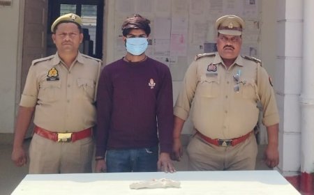 Hadoi: अवैध तमंचा और कारतूस के साथ युवक गिरफ्तार, पिहानी पुलिस की कार्रवाई। 