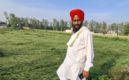 Bajpur : बारिश और आंधी से बाजपुर में गेहूं की फसल बर्बाद, प्रशासन पर उदासीनता का आरोप