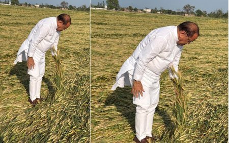 Bajpur : यशपाल आर्य ने बाजपुर में ईद की बधाई दी, ओलावृष्टि और बारिश से बर्बाद गेहूं फसल का जायजा लिया, मुआवजे की मांग की