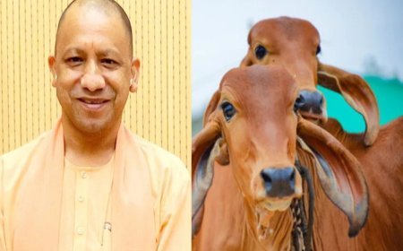 Lucknow : ‘मिनी नन्दिनी कृषक समृद्धि योजना’ से किसानों का सशक्तीकरण, तेजी से बढ़ रहा दायरा