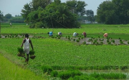 Lucknow : नवनिर्माण के 9 वर्ष- 2017 के पहले आत्महत्या करता था किसान, अब ऋणमुक्त होकर योगी सरकार में सम्मान पा रहा अन्नदाता 