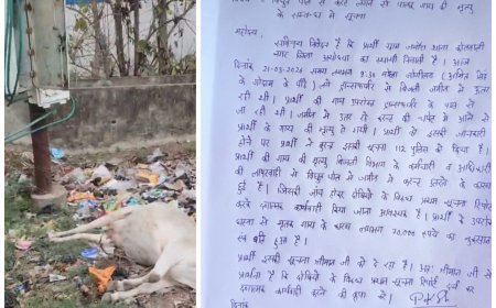 Ayodhya : बिजली पोल से करंट उतरने से गाय की मौत, लापरवाही पर महंत संत दास ने मांगी जांच और एफआईआर