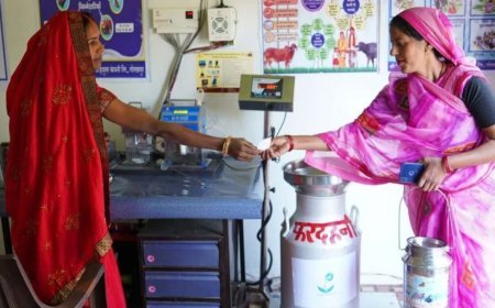 Lucknow : 31 जिलों की महिलाओं ने किया पांच हजार करोड़ का दूध का कारोबार