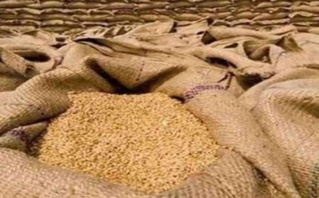 Lucknow : 30 मार्च से प्रारम्भ होगी गेहूं खरीद, सीएम योगी ने तय किया 50 लाख मीट्रिक टन खरीद का लक्ष्य