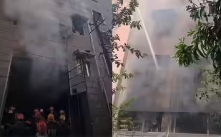 दिल्ली के बवाना इंडस्ट्रियल एरिया में प्लास्टिक फैक्ट्री धधकने से मचा कोहराम, आसमान में छाया काला धुआं, एक झुलसा