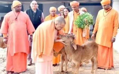 Lucknow : गोशालाएं बनेंगी अर्थव्यवस्था का ग्रोथ इंजन, 'पंचगव्य' से यूपी में खड़ा होगा विशाल ऑर्गेनिक बाजार
