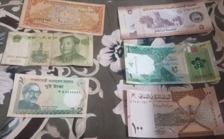 Sambhal : पान की दुकान से शुरू हुआ शौक बना अनोखी पहचान, रफीक ने जुटाए 20 देशों के नोट-सिक्के