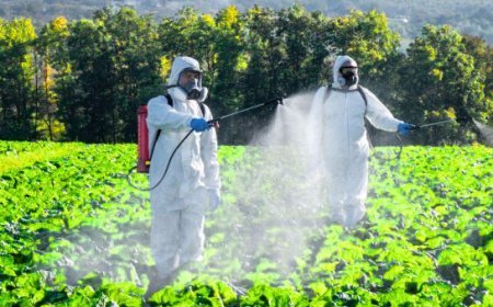 Hardoi: पैराक्वेंट के प्रयोग में बरतें सावधानी, किसानों को सुरक्षित विकल्प अपनाने की सलाह। 