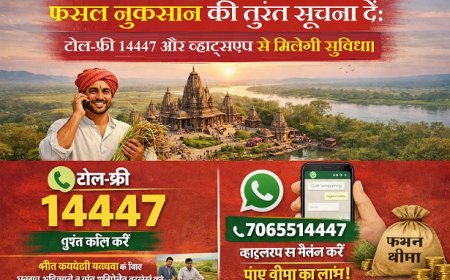 Lucknow: फसल नुकसान की तुरंत सूचना दें: टोल-फ्री 14447 और व्हाट्सएप से मिलेगी सुविधा।