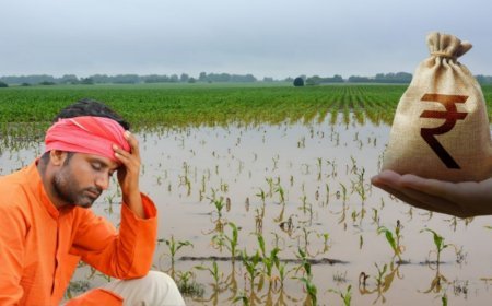 Lucknow : फसल नुकसान का मुआवजा पाना हुआ आसान, किसान टोल-फ्री नंबर और व्हाट्सएप पर दे सकेंगे सूचना