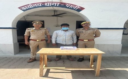Hardoi : पाली पुलिस ने अवैध हथियार सहित आरोपी को गिरफ्तार किया