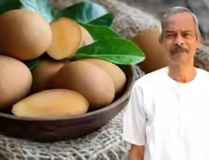 नौकरी छोड़ गांव लौटे, चीकू पर प्रयोग कर बन गए करोड़पति, महिलाओं को रोजगार देकर गांव में क्रांति लाई।