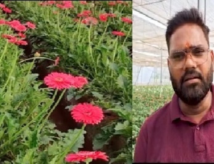 सरकारी योजना बनी सहारा: बाराबंकी के युवा किसान नीरज पटेल ने जरबेरा की खेती से लिखी सफलता की कहानी।