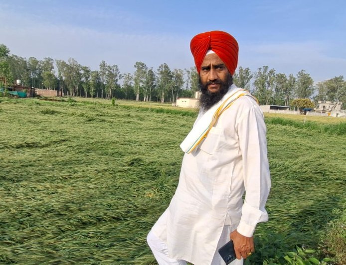 Bajpur : बारिश और आंधी से बाजपुर में गेहूं की फसल बर्बाद, प्रशासन पर उदासीनता का आरोप