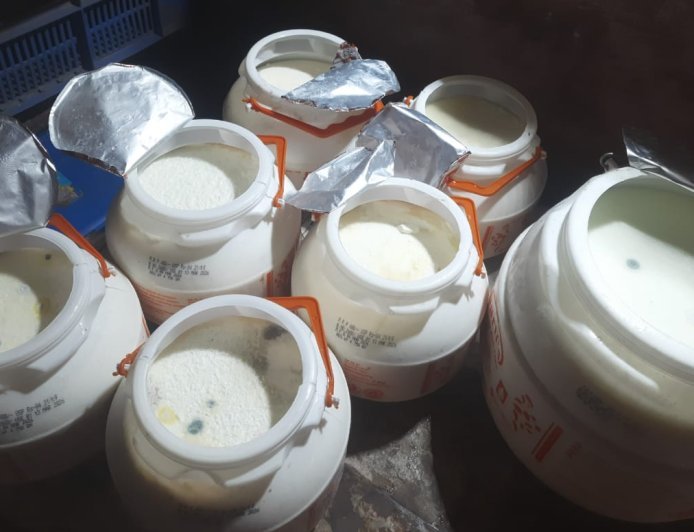 Saharanpur : एक्सपायरी से पहले ही खराब मिली दही, फंगस और बदबू से उठे सवाल