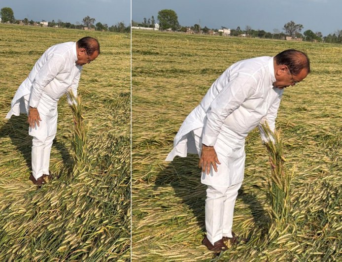 Bajpur : यशपाल आर्य ने बाजपुर में ईद की बधाई दी, ओलावृष्टि और बारिश से बर्बाद गेहूं फसल का जायजा लिया, मुआवजे की मांग की