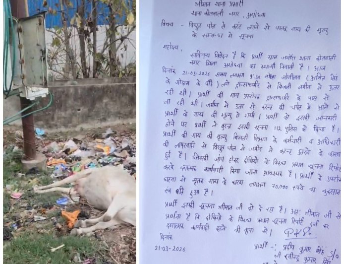 Ayodhya : बिजली पोल से करंट उतरने से गाय की मौत, लापरवाही पर महंत संत दास ने मांगी जांच और एफआईआर