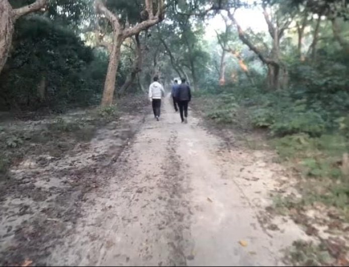 Sitapur : राष्ट्रीय वन दिवस पर चिंता - वनों की कटाई से पर्यावरण और जीवन खतरे में