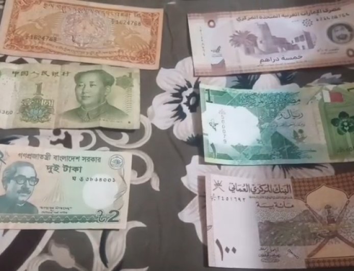 Sambhal : पान की दुकान से शुरू हुआ शौक बना अनोखी पहचान, रफीक ने जुटाए 20 देशों के नोट-सिक्के