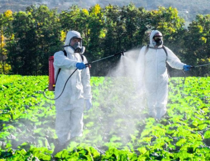 Hardoi: पैराक्वेंट के प्रयोग में बरतें सावधानी, किसानों को सुरक्षित विकल्प अपनाने की सलाह। 