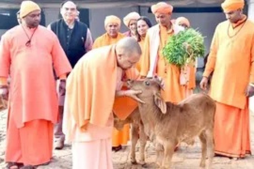 Lucknow : गोशालाएं बनेंगी अर्थव्यवस्था का ग्रोथ इंजन, 'पंचगव्य' से यूपी में खड़ा होगा विशाल ऑर्गेनिक बाजार
