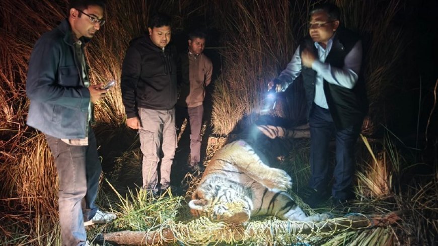 Pilibhit: पीलीभीत टाइगर रिजर्व में मिला बाघ का शव आईवीआरआई बरेली में होगा पोस्टमार्टम। 