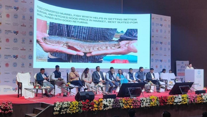 मुख्यमंत्री की प्रेरणा से मीन महोत्सव 2026 का शानदार आयोजन, अब मीन महाकुंभ की तैयारी।